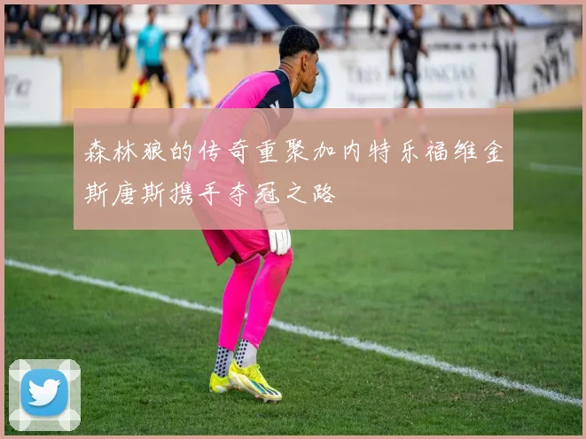 森林狼的传奇重聚加内特乐福维金斯唐斯携手夺冠之路