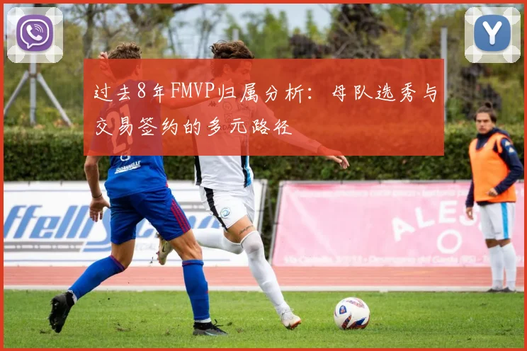 过去8年FMVP归属分析：母队选秀与交易签约的多元路径